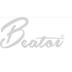 Beaton - Guitare électrique Legend (Noire) BK