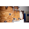 Rebel Custom Shop - 22" 12" 14" 16" - Birch/Mahogany - Tamo Ash Exotic Lacquer Finish