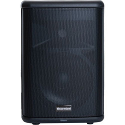 THORNTON - Enceinte active Auriga 3