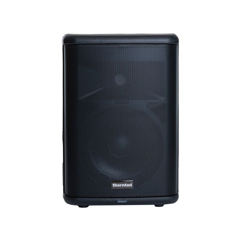 THORNTON - Enceinte active Auriga 3