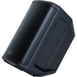 THORNTON - Enceinte active Auriga 3