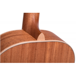 LARRIVÉE Guitars - Guitare acoustique Dreadnought - SD-40MH